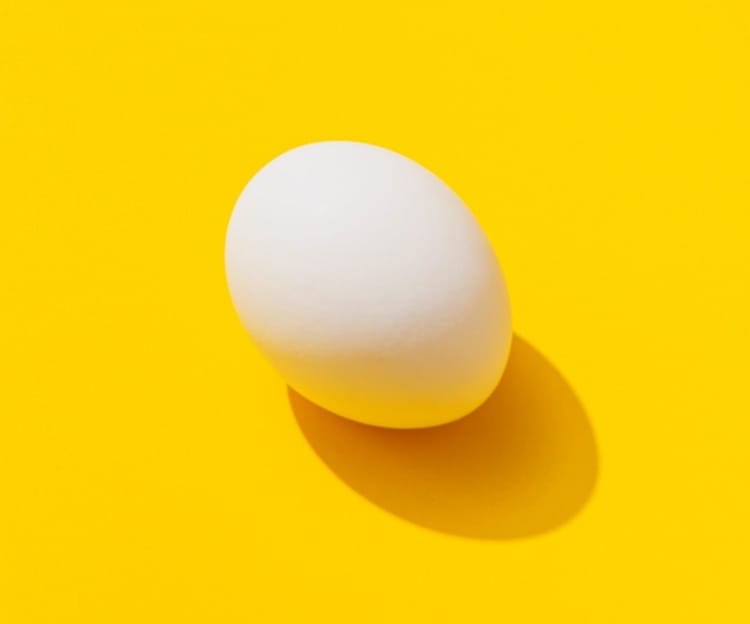 Transform your brand - egg picture